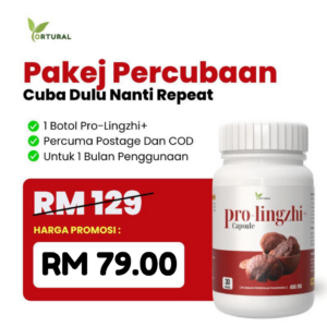 Pakej Percubaan 1 BOTOL